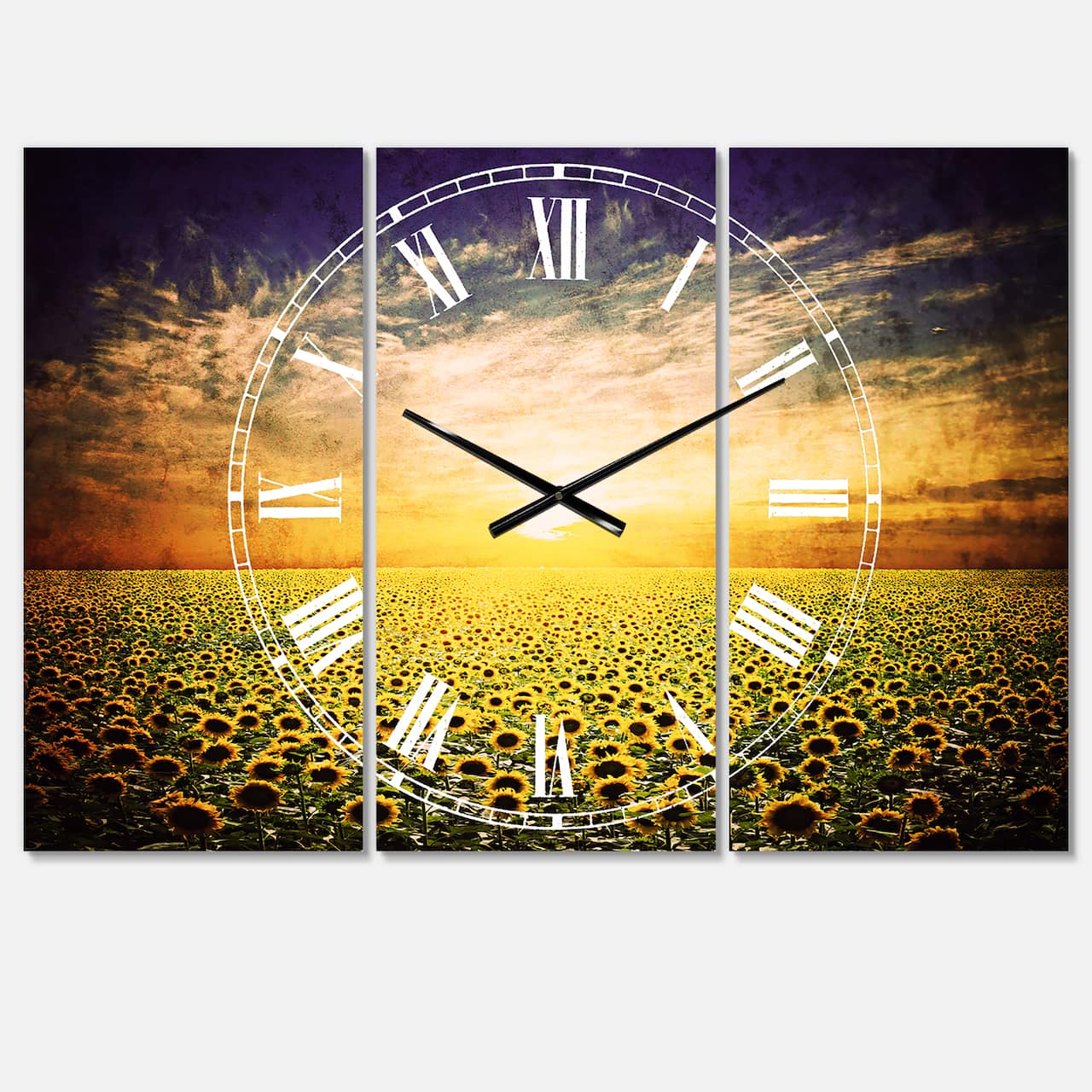 Designart Beauty Sunset Over Sunflowers Field Multipanel Wall Clock